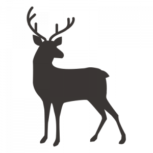 Deer-Icon-RockRidge-Canyon
