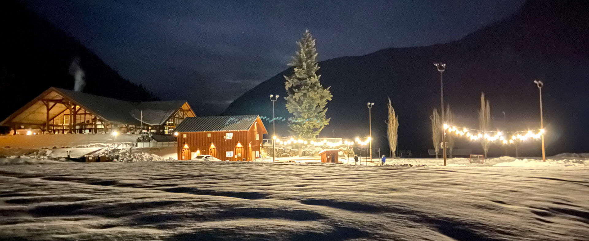 Winter Night Skating