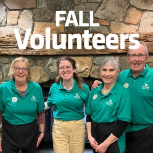 Volunteer at camp