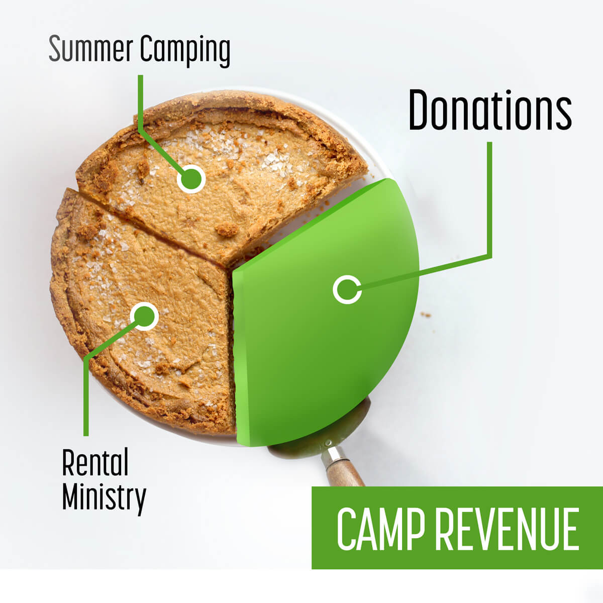 Camp budget pie chart graph