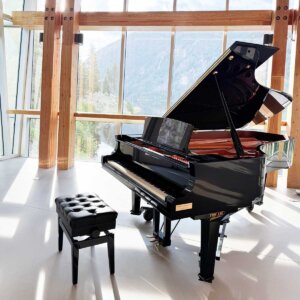 Grand Piano in the Rock Foyer Lobby